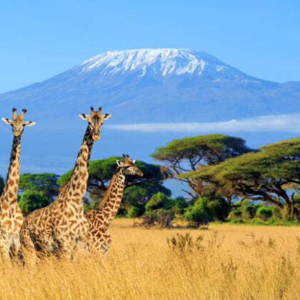 Relaxing travel moment with stunning views