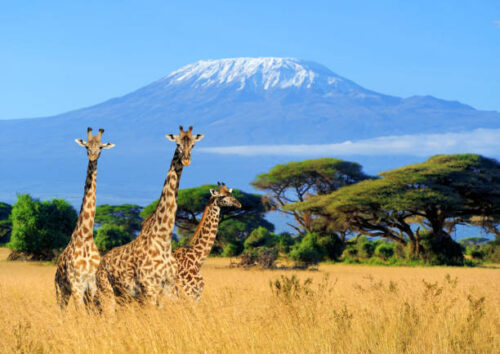 Relaxing travel moment with stunning views