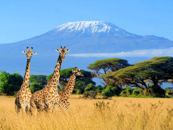Relaxing travel moment with stunning views