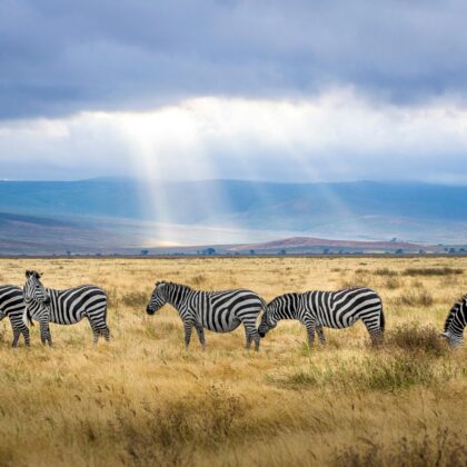 Relaxing travel moment with stunning views