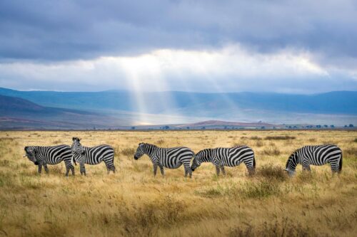 Relaxing travel moment with stunning views
