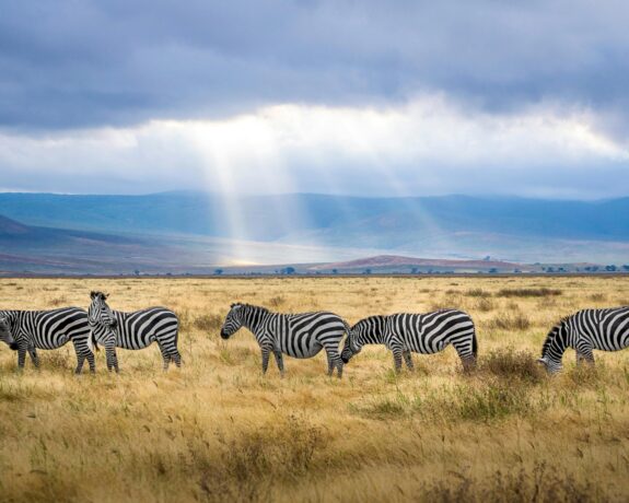 Relaxing travel moment with stunning views